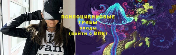 не бодяженный Алексин